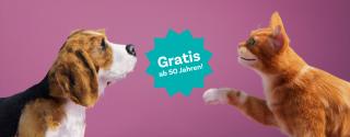 Hund Katze Darmcheck gratis ab 50.